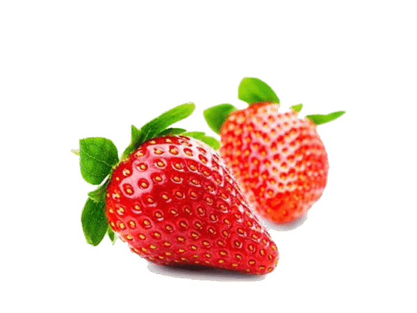 h3-product13 h3-product13